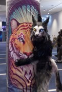 Eurofurence 29
