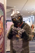 Eurofurence 29