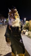 Eurofurence 29