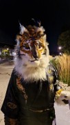 Eurofurence 29