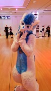 Eurofurence 29