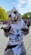 Eurofurence 29