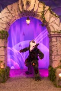 Eurofurence 29