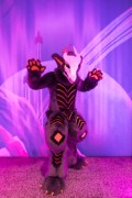 Eurofurence 29