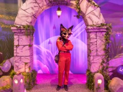 Eurofurence 29