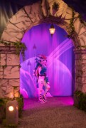 Eurofurence 29