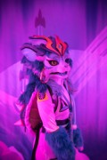 Eurofurence 29