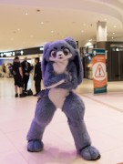 Eurofurence 29