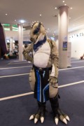 Eurofurence 29