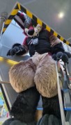 Eurofurence 29