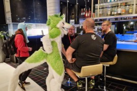 Eurofurence 29