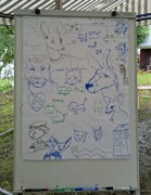 FinFur Summer Camp 2012