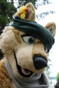 FinFur Summer Camp 2012