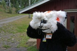 FinFur Summer Camp 2013