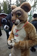 FinFur Summer Camp 2013