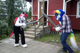 FinFur Summer Camp 2013