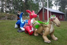 FinFur Summer Camp 2013