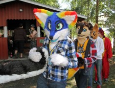 FinFur Summer Camp 2013