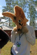 FinFur Summer Camp 2013