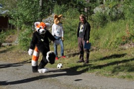 FinFur Summer Camp 2013