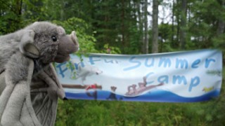 FinFur Summer Camp 2013