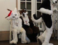Furs on Fire 2010