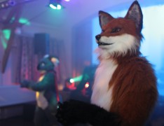 Furs on Fire 2010