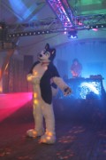 Furs on Fire 2010