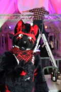 Furs on Fire 2011