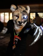 Furs on Fire 2011