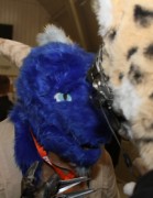 Furs on Fire 2011