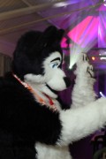 Furs on Fire 2011