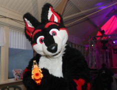 Furs on Fire 2011