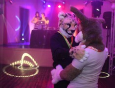 Furs on Fire 2011