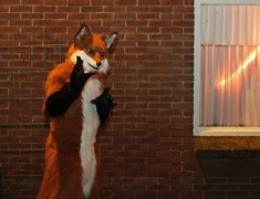 Furs on Fire 2011