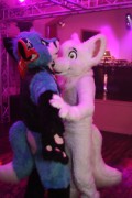 Furs on Fire 2011