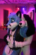 Furs on Fire 2011