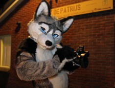 Furs on Fire 2011