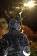 Furs on Fire 2011