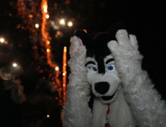 Furs on Fire 2011