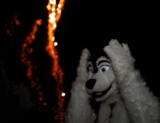 Furs on Fire 2011