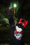 Furs on Fire 2011