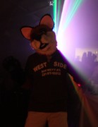 Furs on Fire 2011