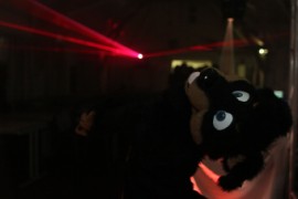 Furs on Fire 2011