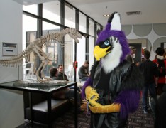 FurDU 2015