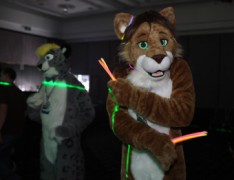 FurDU 2015