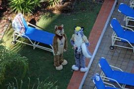 FurDU 2015