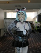 FurDU 2015