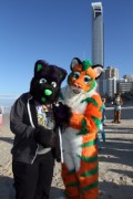 FurDU 2015