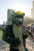 FurDU 2015